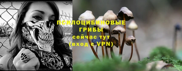 дурь Инта