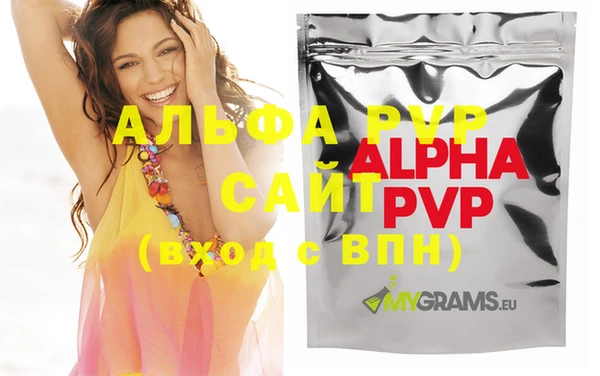 крисы Каменка