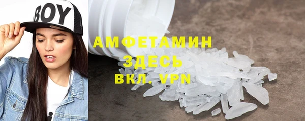крисы Каменка