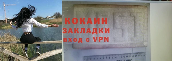 крисы Каменка
