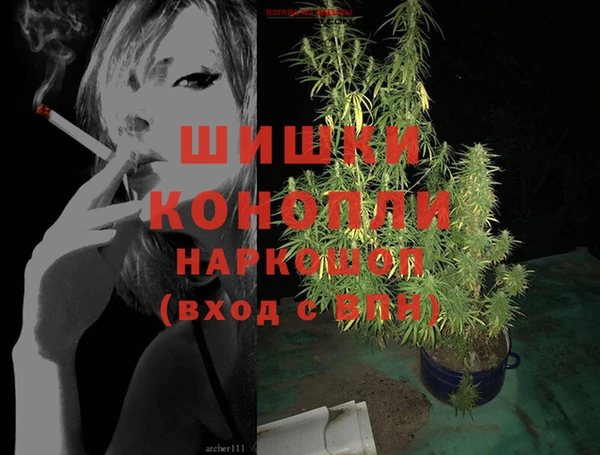 не бодяженный Иннополис