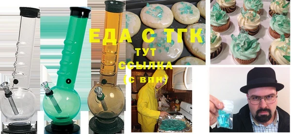 крисы Каменка