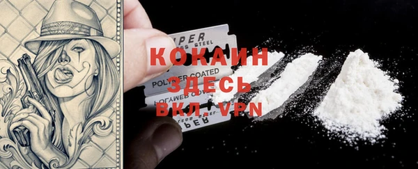 крисы Каменка