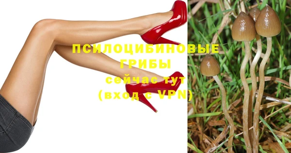 MDMA Инсар